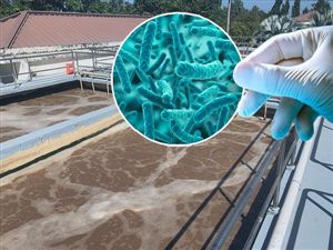Bốn Giai Đoạn Phát Triển Vi Sinh Vật Và Ý Nghĩa Vận Hành Trong Xử Lý Nước Thải Sinh Học