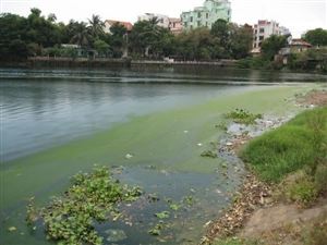 LOẠI BỎ PHOSPHAT BẰNG PHƯƠNG PHÁP SINH HỌC