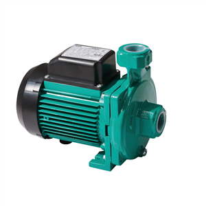 Bơm Ly Tâm Công Xôn (Cantilever Pump): Phân Tích Cấu Tạo Chuyên Sâu, Ưu Nhược Điểm Kỹ Thuật và Công Nghệ Giảm Tải Trọng Dọc Trục
