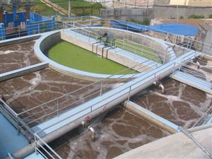 Bể Lắng Sơ Cấp (Primary Clarifier): Tối ưu hóa Thiết kế Hình học và Hiệu quả Vận hành