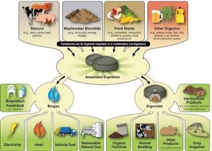 Công nghệ Phân hủy Yếm khí và Tiềm năng Sản xuất Biogas từ Nước thải