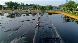 Cấu Trúc Phân Tử, Khả Năng Sinh Hủy và Giai Đoạn Khống Chế Tốc Độ Trong Xử Lý Nước Thải Yếm Khí
