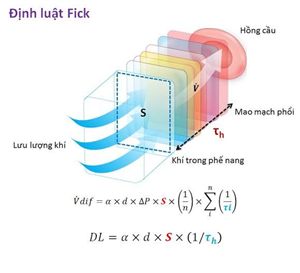 Định Luật Khuếch Tán Fick Thứ Hai PT 7-15 Và Phương Trình Đối Lưu-Khuếch Tán PT 7-16