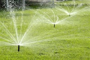 Công nghệ Cánh đồng Lọc Chậm (SR): Cơ chế Xử lý Toàn diện và Yêu cầu Thiết kế Bền vững