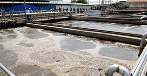 Xử Lý Nước Thải Bằng Biện Pháp Sinh Học: Cơ Chế Tách Chất Ô Nhiễm, Đồng Hóa, Dị Hóa Và Phân Hủy Nội Sinh
