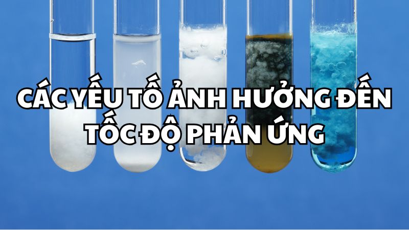 Phương Trình Tốc Độ Phản Ứng Gián Đoạn