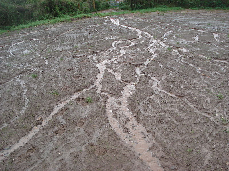 Cánh đồng Chảy tràn