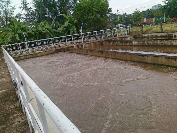 Sinh Trưởng Lơ Lửng