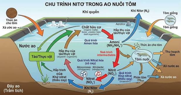 Nước Thải Công Nghiệp