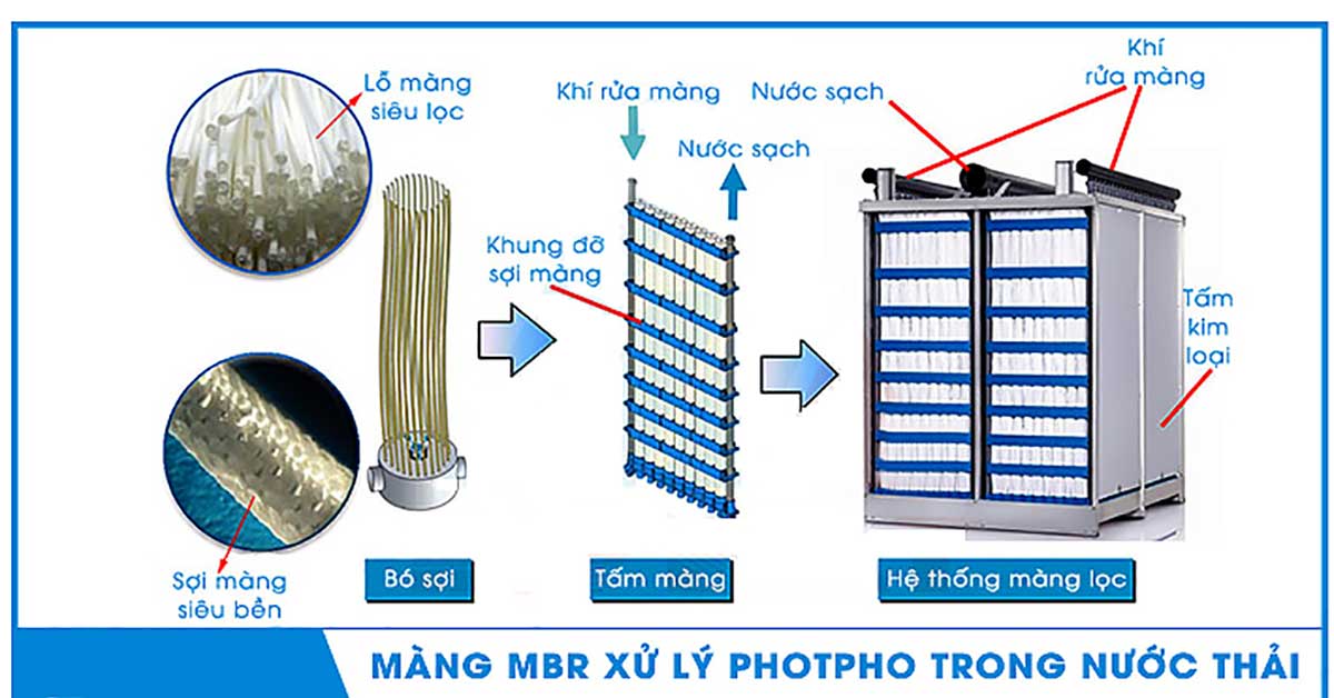Kết Tủa Photphat