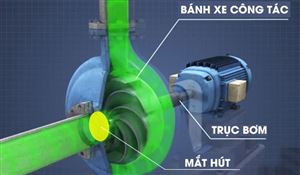Nhận Diện và Phân Tích Dấu Hiệu Khí Thực, Tiếng Ồn, Rung Động và Sự Ăn Mòn Tổ Ong Trên BXCT
