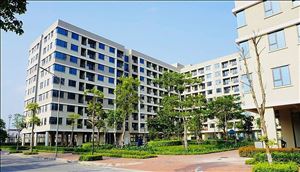 Dự Án Nhà Ở Xã Hội Võ Cường: Tầm Nhìn Chiến Lược và Giải Pháp Bền Vững cho Người Thu Nhập Thấp