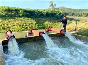 Công nghệ Cánh đồng Lọc Nhanh (RI): Mục tiêu Kép và Rủi ro Nitrat hóa Nước ngầm
