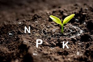 Phương Pháp Hệ Quả Loại Bỏ Nitơ và Photpho: Hiệu Suất Thực Tế và Giới Hạn