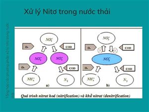 Thiết Bị Thí Nghiệm Liên Tục và Thời Gian Lưu Thủy Lực τ, Thời Gian Lưu Bùn θc: Nền Tảng Xác Định Hằng Số Động Học XLNT