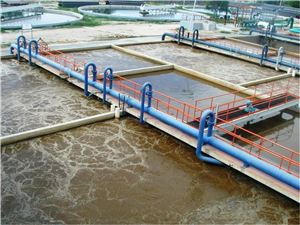Chiến lược Thu hồi và Tái sử dụng Tài nguyên từ Nước thải: Phân tích Năng lượng, Đạm (N) và Khoáng chất (P, K, Ca)