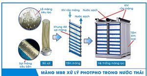 Tách Loại Photpho Bằng Kết Tủa Hóa Học Trong Hệ Xử Lý Vi Sinh — Nguyên Tắc, Vị Trí Ghép Nối Và Ảnh Hưởng Của pH